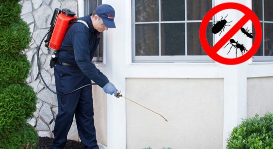 Feke Fare İlaçlama böcek ilaçlama ve haşere kontrolü — ilaclama-tr.com